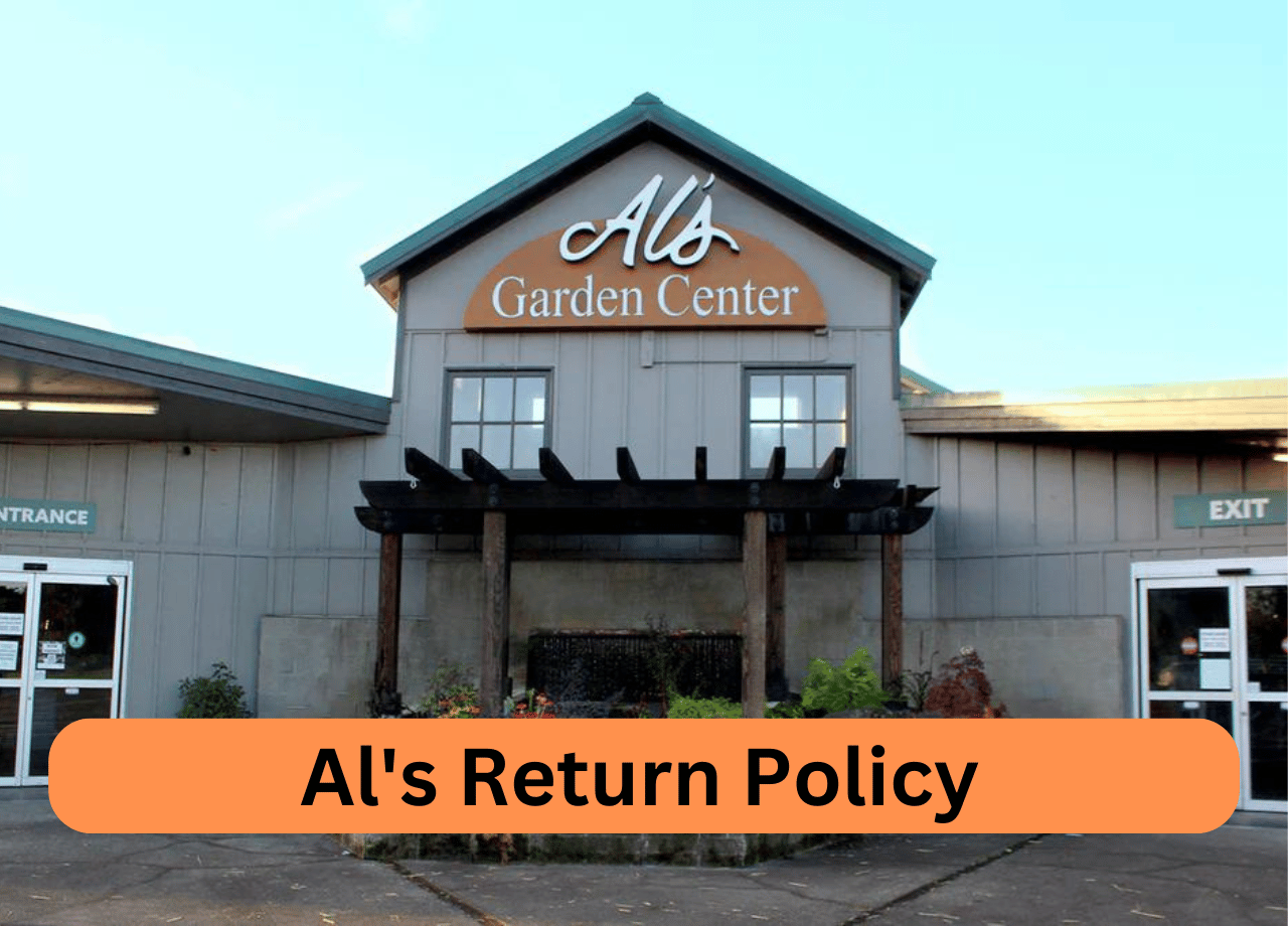 Al's Return Policy